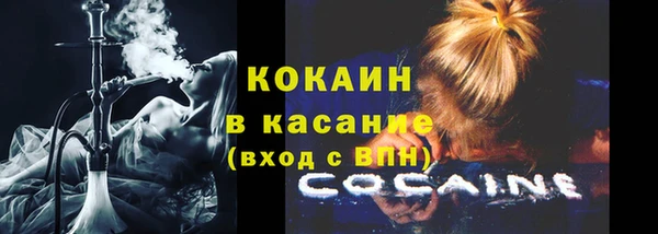мдпв Вяземский