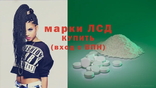 мдпв Вяземский