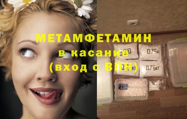 трава Гусиноозёрск