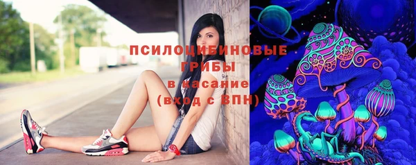 трава Гусиноозёрск