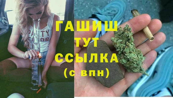 сатива Гусь-Хрустальный