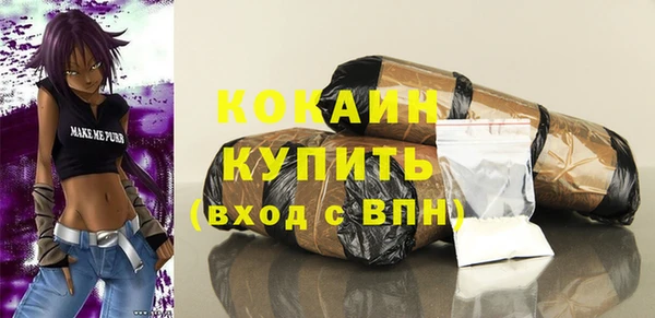 мдпв Вяземский